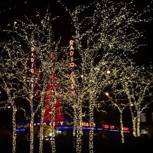 Bright (xmas) lights, big city  (NYC 2014)