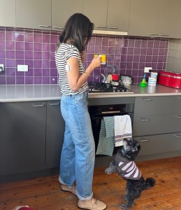 Photo of me standing in my kitchen with an Omnipod insulin pump on my upper arm. I'm wearing blue jeans and a striped top and holding a yellow mug. A little black dog in a striped jumper is jumping up towards me. 